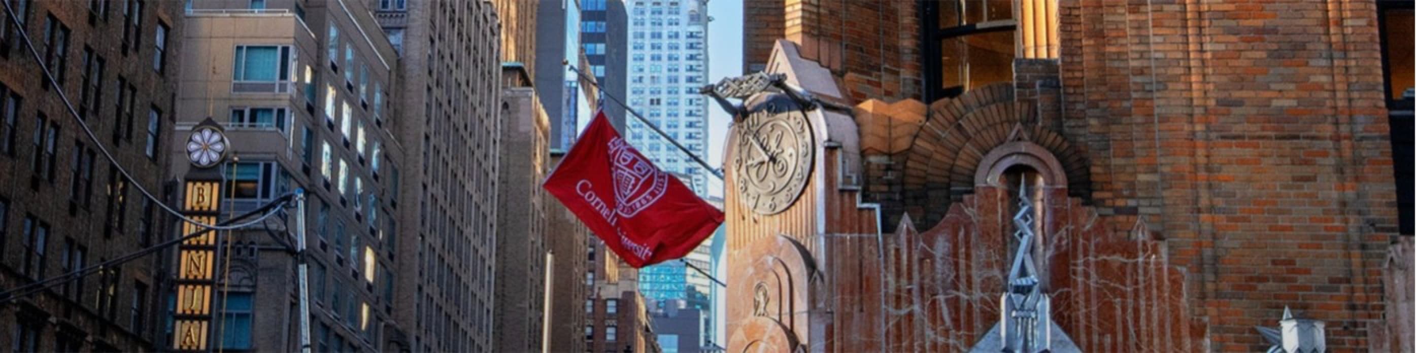 Banner image